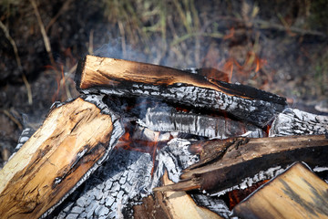 Bonfire in the field. Camp, holiday and rest background.