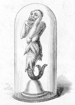 Mermaid Exhibit  London. Date: circa 1875