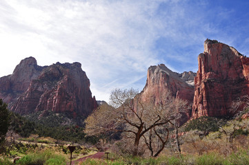 Rock formations in Zion National Park