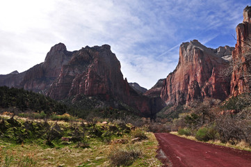 Dirt road in Zion National Park