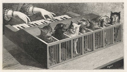 Cat Piano. Date: 17th century