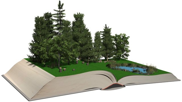 open boock with wonderful forest with a smal lake on the pages isolated on white