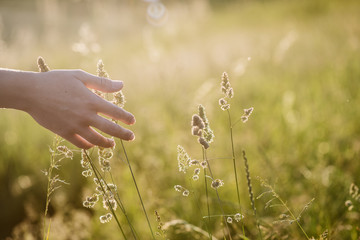 Female hand touching nature