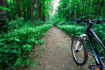 Mountain biking down hill descending fast on bicycle. View from bikers eyes.