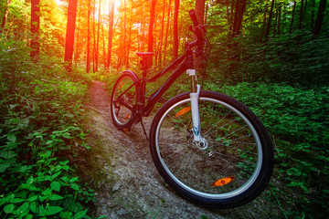 Mountain biking down hill descending fast on bicycle. View from bikers eyes.
