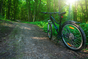Mountain biking down hill descending fast on bicycle. View from bikers eyes.