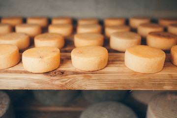 cheese production
