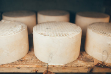 cheese production