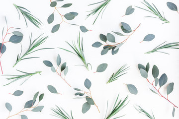 Flowers composition. Pattern made of carnation flowers and eucalyptus branches on white background. Flat lay, top view