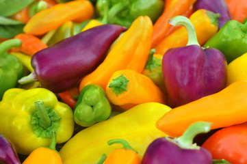 Colorful fresh harvested bell peppers, selective focus