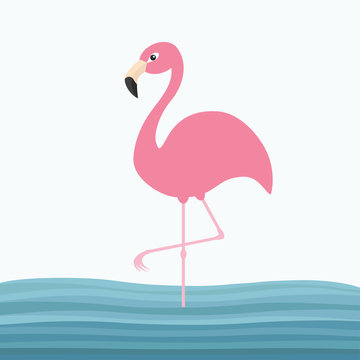 Pink flamingo standing on one leg. Water sea wave. Exotic tropical bird. Zoo animal collection. Cute cartoon character. Decoration element. Flat design. White blue background.