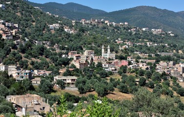 Fototapeta premium Tifra