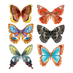 Fototapeta na wymiar Watercolor butterflies vector set