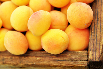Crate of fresh ripe sweet apricots, selective focus