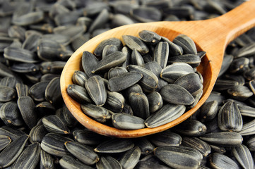 Sunflower seeds on wooden spoon on background