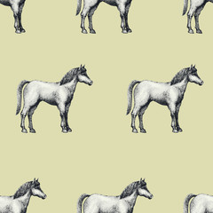 Horse, vintage engraved vector seamless pattern. Can be use for shops and markets of organic food. Vintage illustration.