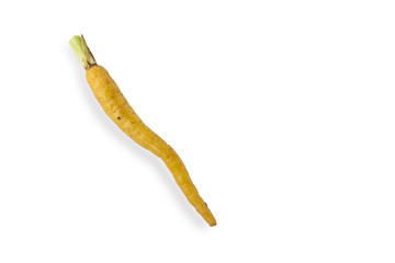 Yellow Baby Carrot on White Background