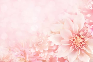 Fototapeten Sommerblühende Dahlie, Blumenbokeh-Hintergrund, Pastell und weiche Blumenkarte © ulada