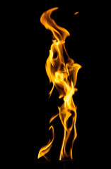 Flame of fire on a black background