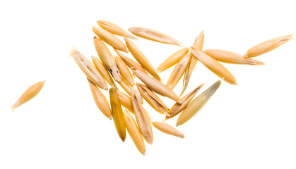 Grain of oats isolated on white background