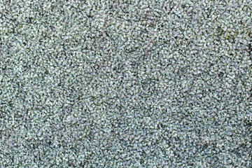 Artificial grass made of plastic texture background