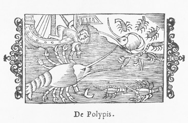 Sea Serpent Norway. Date: 1555