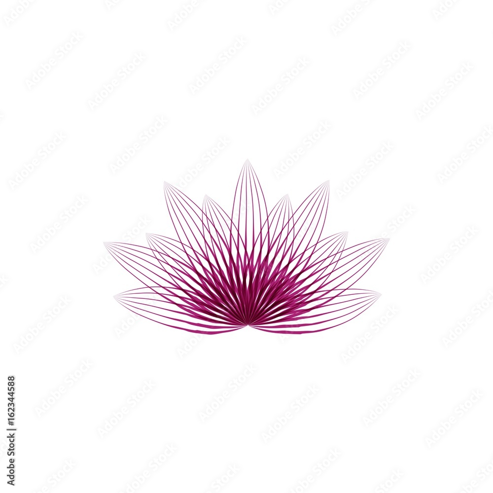 Wall mural Lotus flower vector illustration