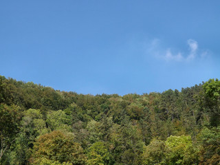 Blick aus dem Blautopf