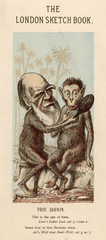 Charles Darwin with a lookalike ape. Date: 1874 - obrazy, fototapety, plakaty