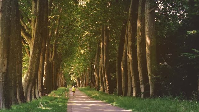 Jogger in einer hohen Allee in Stuttgart