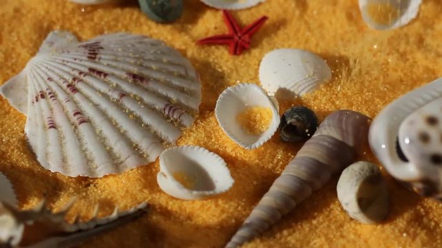 Falling yellow sand and seashells


