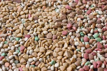 Dry pet food background.