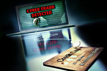 online cyber cirme fraud 