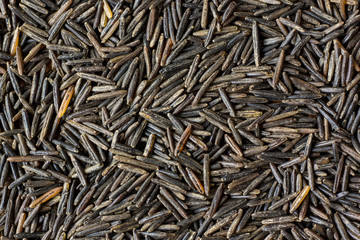 Wild rice background