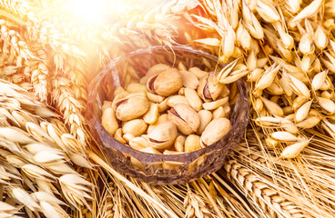 Pistachio nuts for beer, lying in a glass dish.