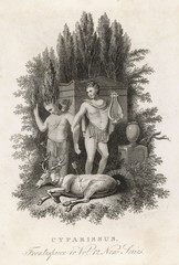 Myth - Mythology - Cyparissus