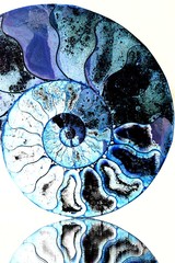 Extinct species, ammonite - obrazy, fototapety, plakaty