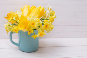 Spring daffodils  flowers in  blue cup  on white  wooden background.