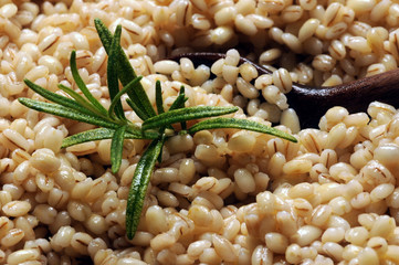 Hordeum vulgare Gerste Orzo Cebada Orge  Ječam Árpa Korn Orzotto Barley Elbi 보리 Սովորական 大麦 Bygg գարի növényfaj オオムギ Ячмень perlé обыкновенный Đại mạch Ohra