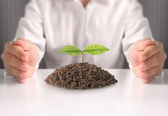 Concept of growing from plant in hand