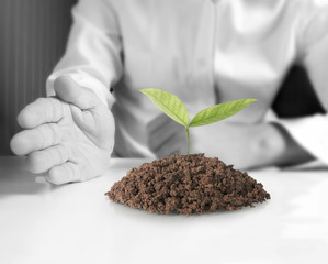 Concept of growing from plant in hand