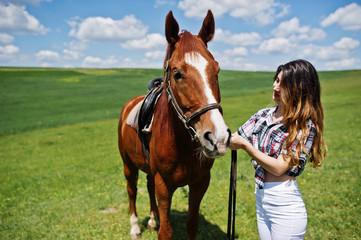 Young pretty girl stay with horse on a field at sunny day.