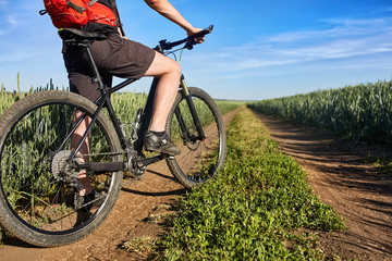 Fototapeta na wymiar Closeup of cyclist man legs with mountain bike on outdoor trail in the summer field.