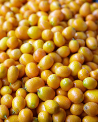 Many Kumquats in a Fruit Market