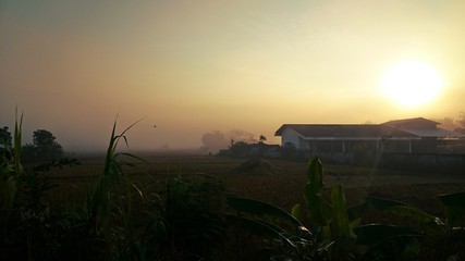 Beautiful natural landscape in the morning mist.