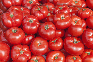 Organic fresh big red ripe tomatoes on the market on sunny day close