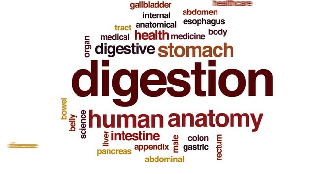 Digestion animated word cloud, text design animation.