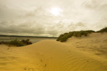 BAY OF THE CANCHE , LE TOUQUET , HAUTS DE FRANCE , FRANCE 