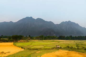 Obraz premium Rice Fields and farm in Laos, Asia