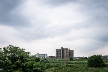 曇天の多摩川河川敷２